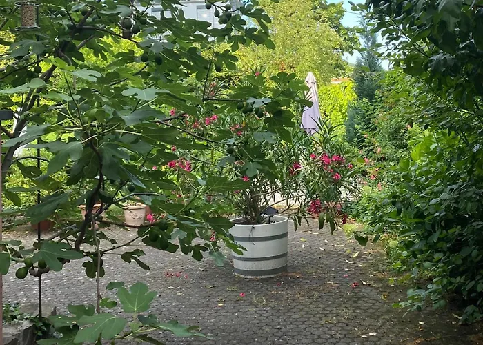 Villa zur Erholung Bed&Breakfast Bad Breisig